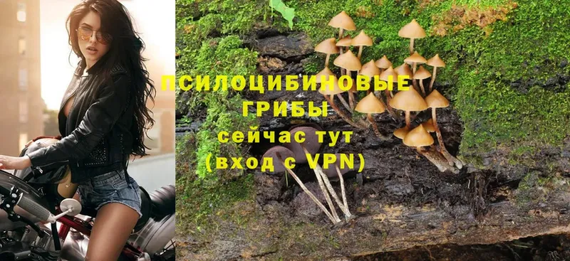 Псилоцибиновые грибы MAGIC MUSHROOMS  Биробиджан 